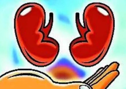 Hospitals told to make public their kidney transplant success rate