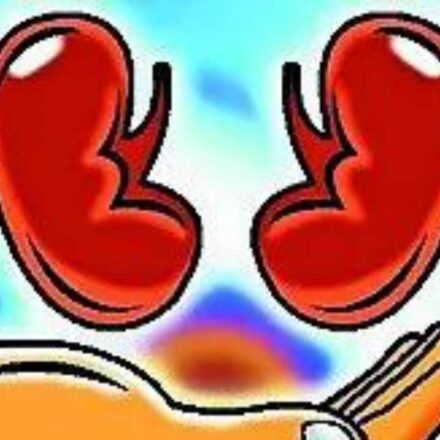 Hospitals told to make public their kidney transplant success rate