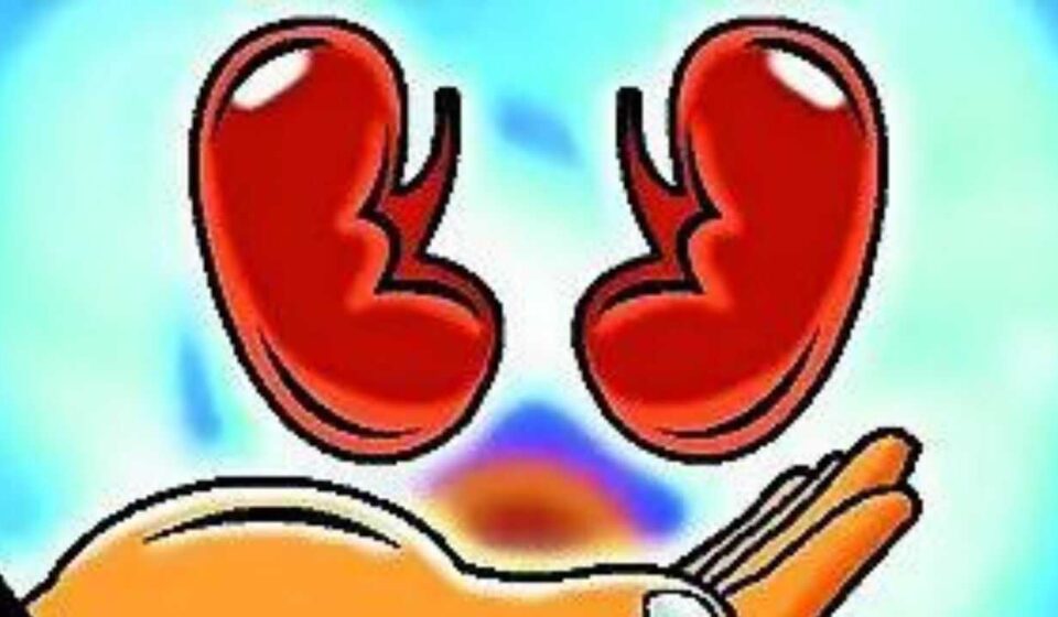 Hospitals told to make public their kidney transplant success rate