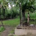 Police search 26 locations tied to banned Jamaat-e-Islami J&K