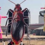 ‘Thank you for free publicity’: Dipke on cockroach effigy being burnt alongside Ravan on Dussehra
