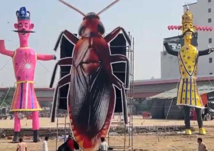 ‘Thank you for free publicity’: Dipke on cockroach effigy being burnt alongside Ravan on Dussehra
