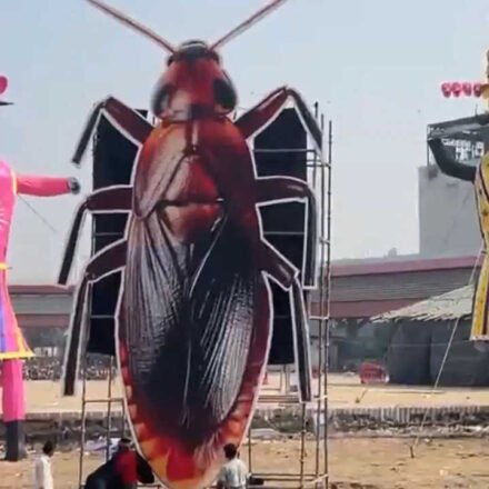 ‘Thank you for free publicity’: Dipke on cockroach effigy being burnt alongside Ravan on Dussehra